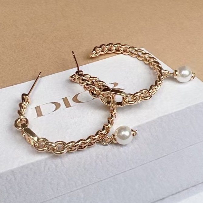 Dior Earring 03yxs190 (8)