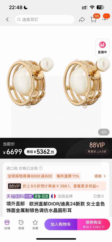 Dior Earring 03yxs191 (1)