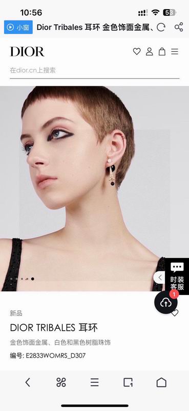 Dior Earring 03yxs201 (3)