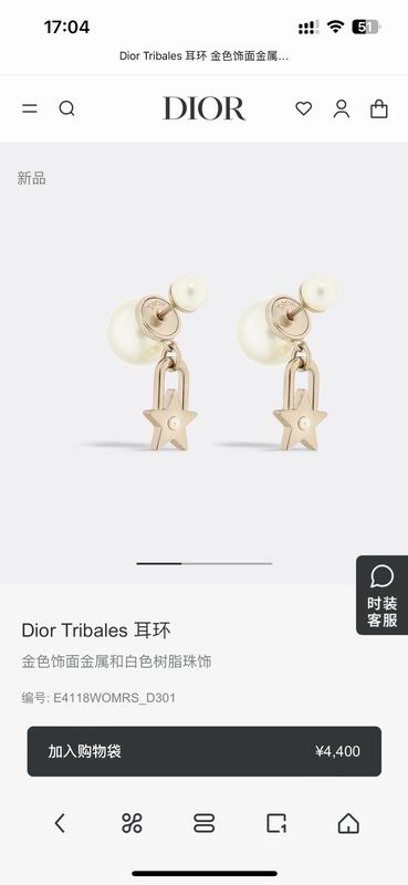 Dior Earring 03yxs211 (1)