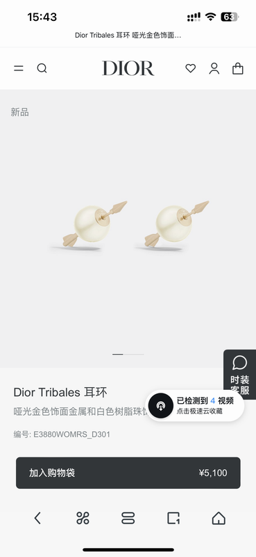Dior Earring 03yxs212 (1)