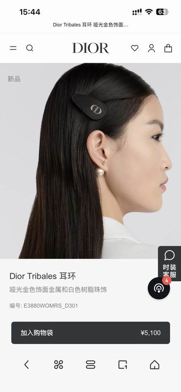 Dior Earring 03yxs212 (2)