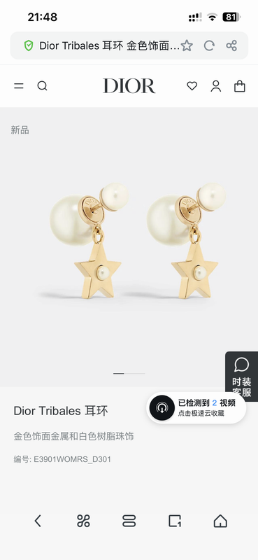 Dior Earring 03yxs216 (1)