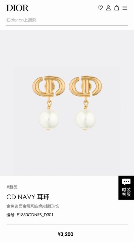 Dior Earring 03yxs220 (5)
