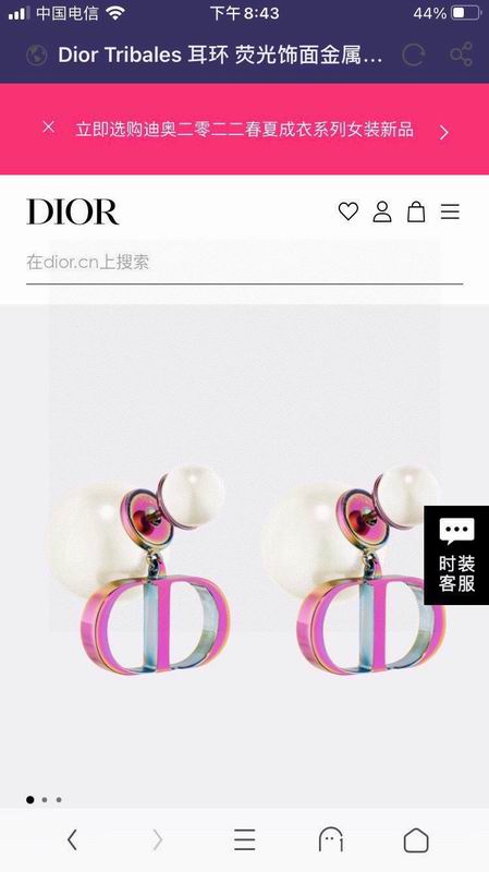 Dior Earring 03yxs226 (4)