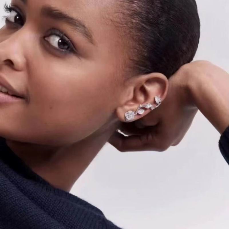 Dior Earring 03yxs242 (1)