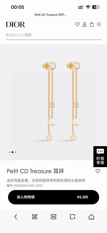 Dior Earring 03yxs248 (2)