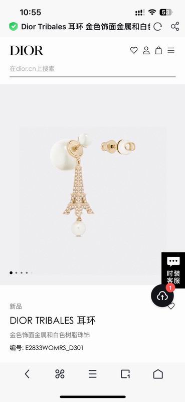 Dior Earring 03yxs75 (2)