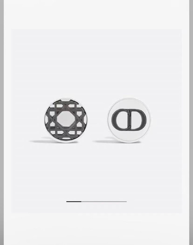 Dior Earring 03yxs79 (2)