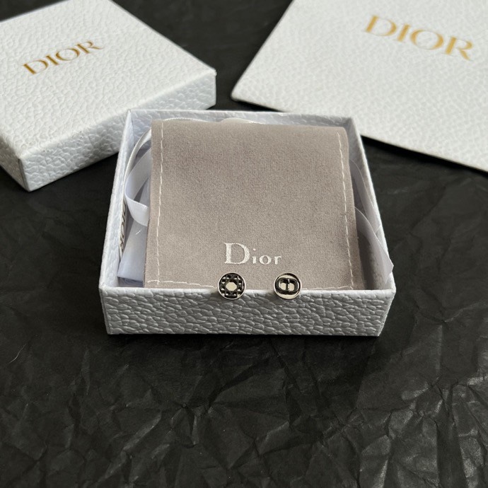 Dior Earring 03yxs79 (4)