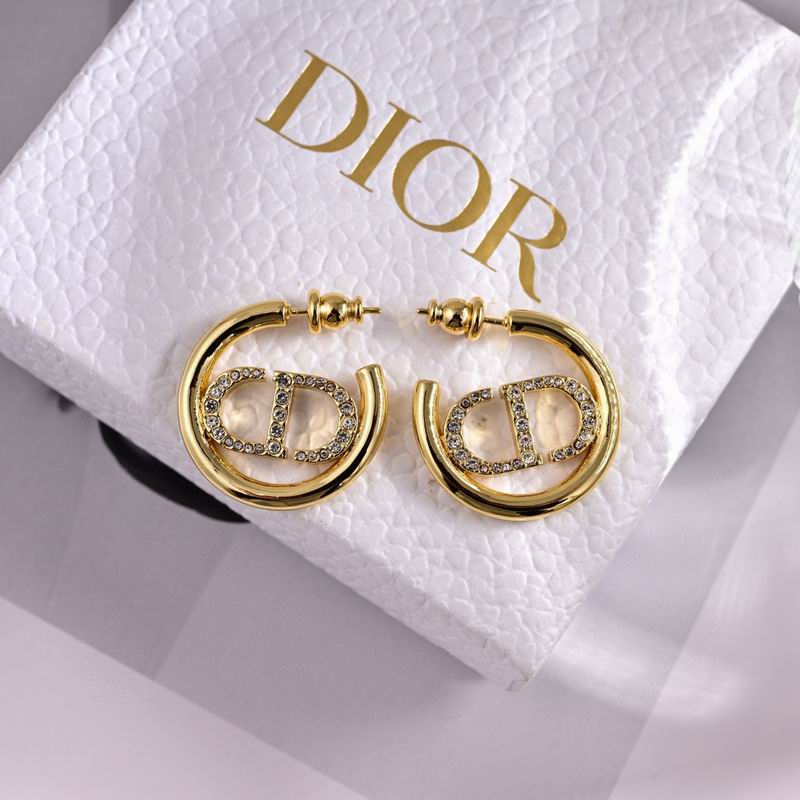 Dior Earring 03yxs91 (1)