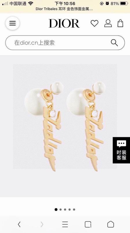 Dior Earring 03yxs92 (3)