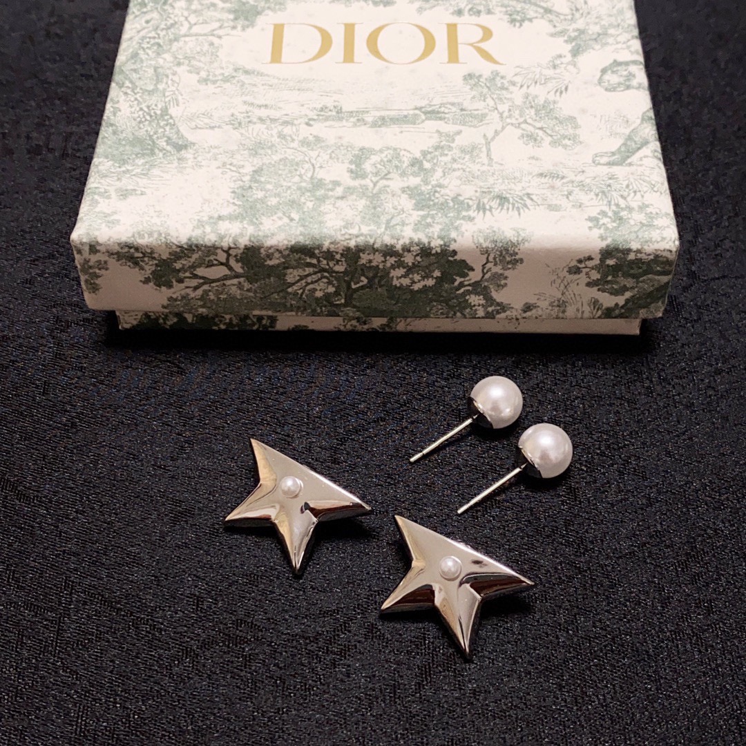 Dior Earring 04yxs296 (1)