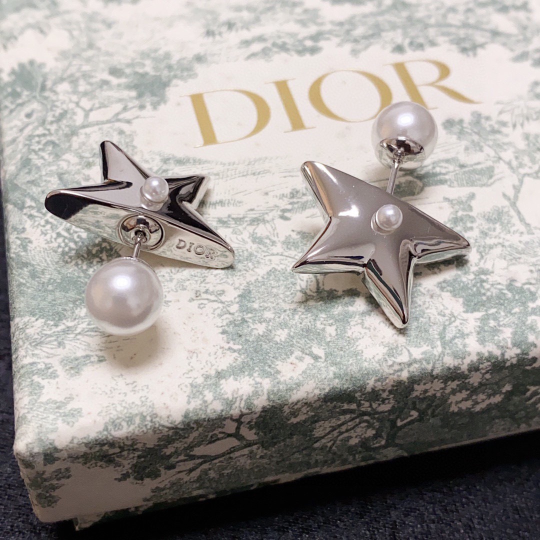 Dior Earring 04yxs296 (2)