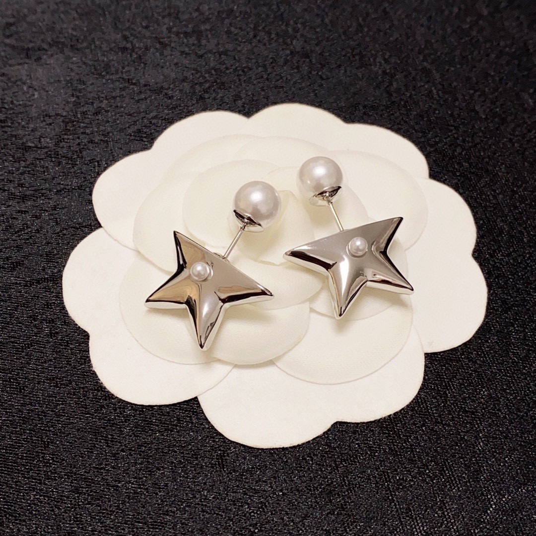 Dior Earring 04yxs296 (3)