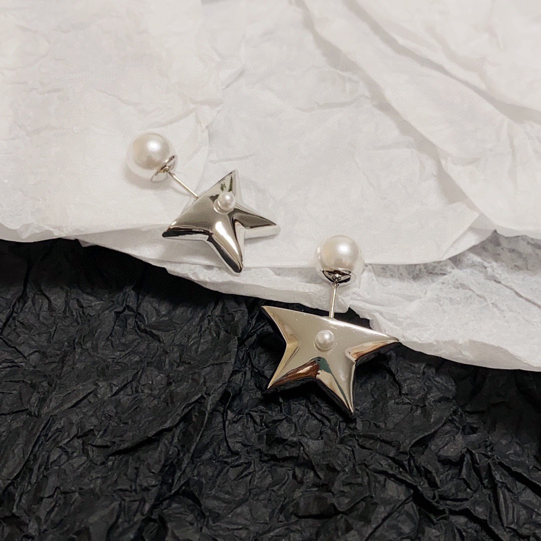 Dior Earring 04yxs296 (4)