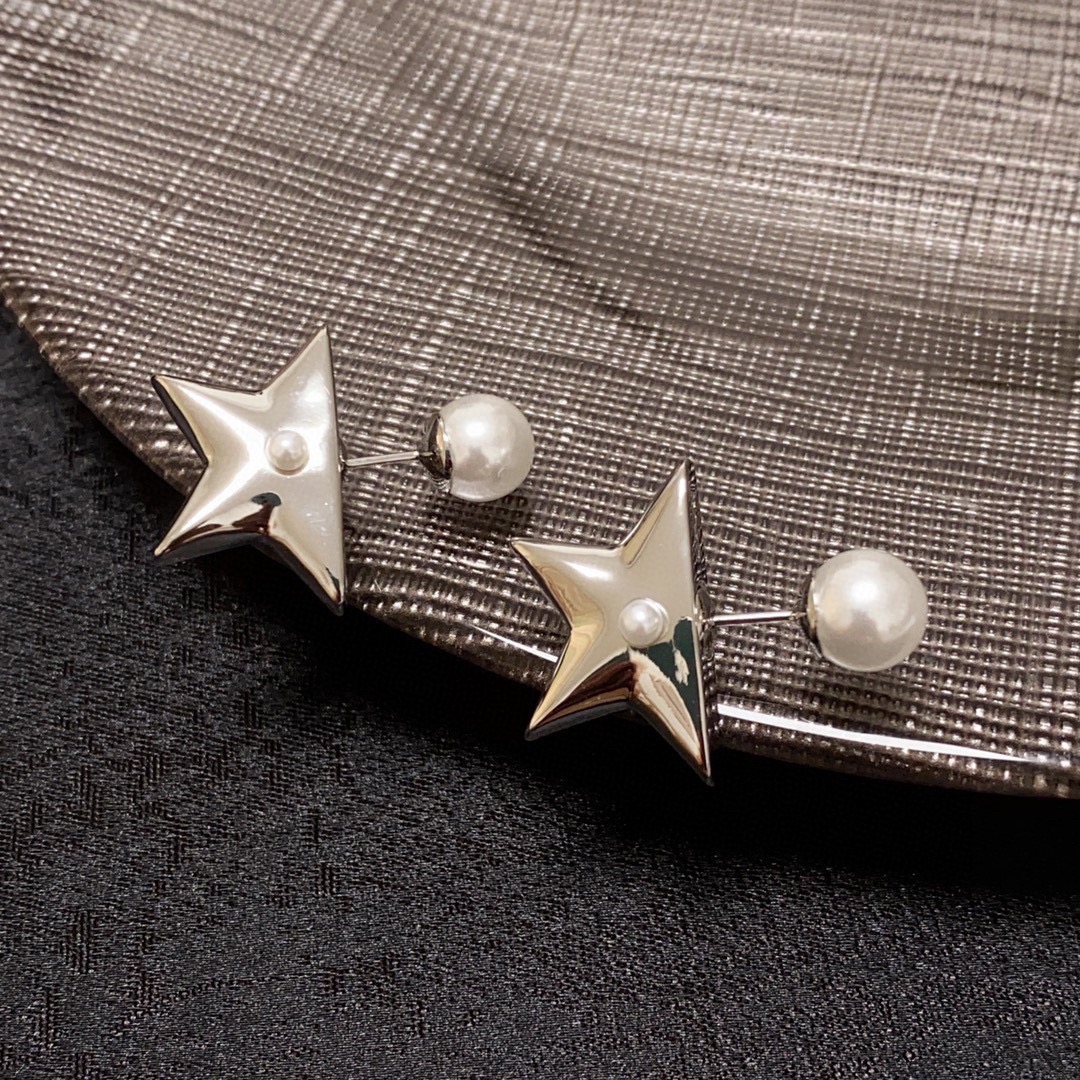 Dior Earring 04yxs296 (5)