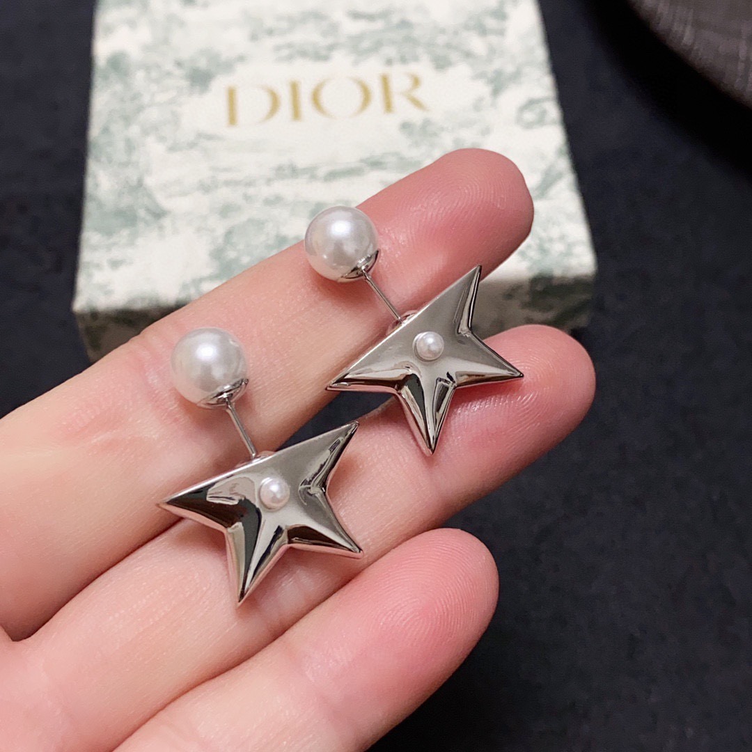 Dior Earring 04yxs296 (6)