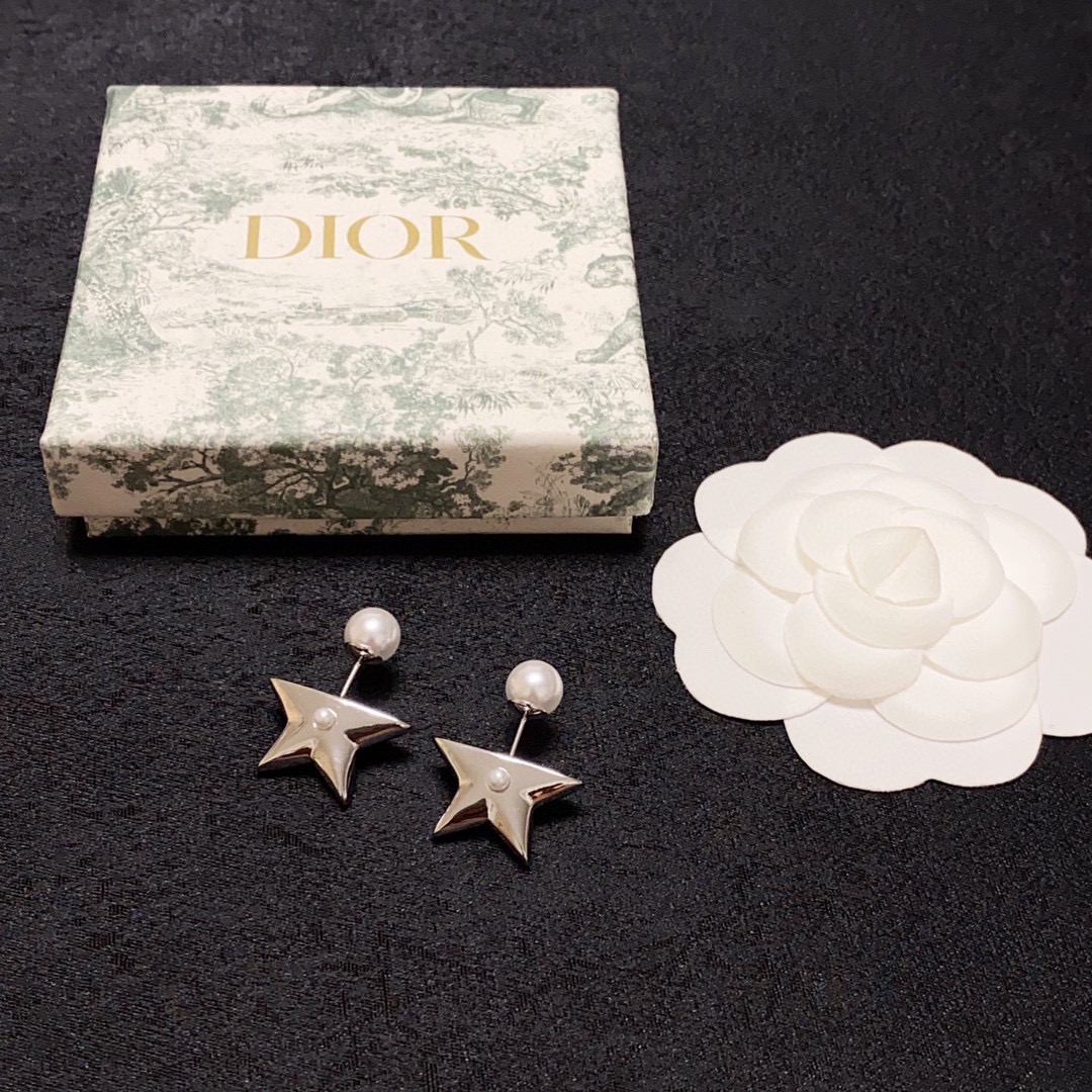 Dior Earring 04yxs296 (7)
