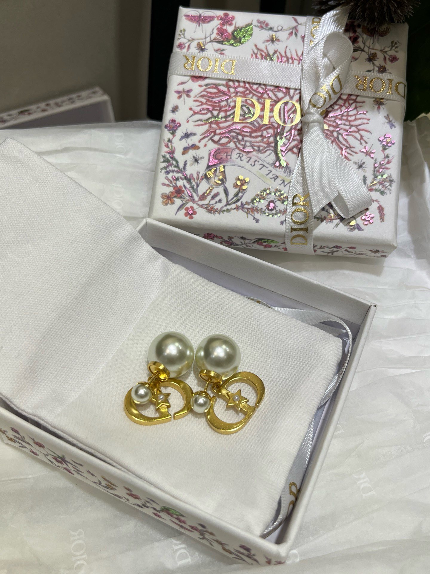 Dior Earring 04yxs297 (3)