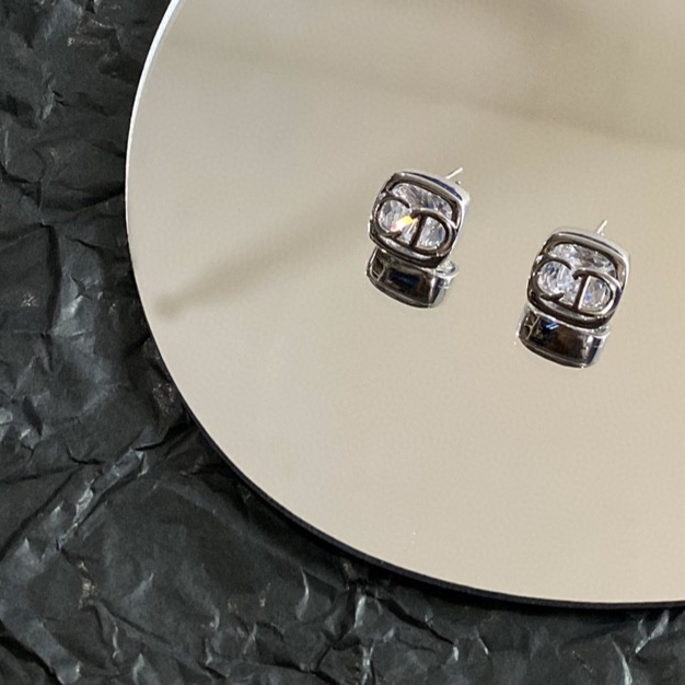 Dior Earring 04yxs298 (5)