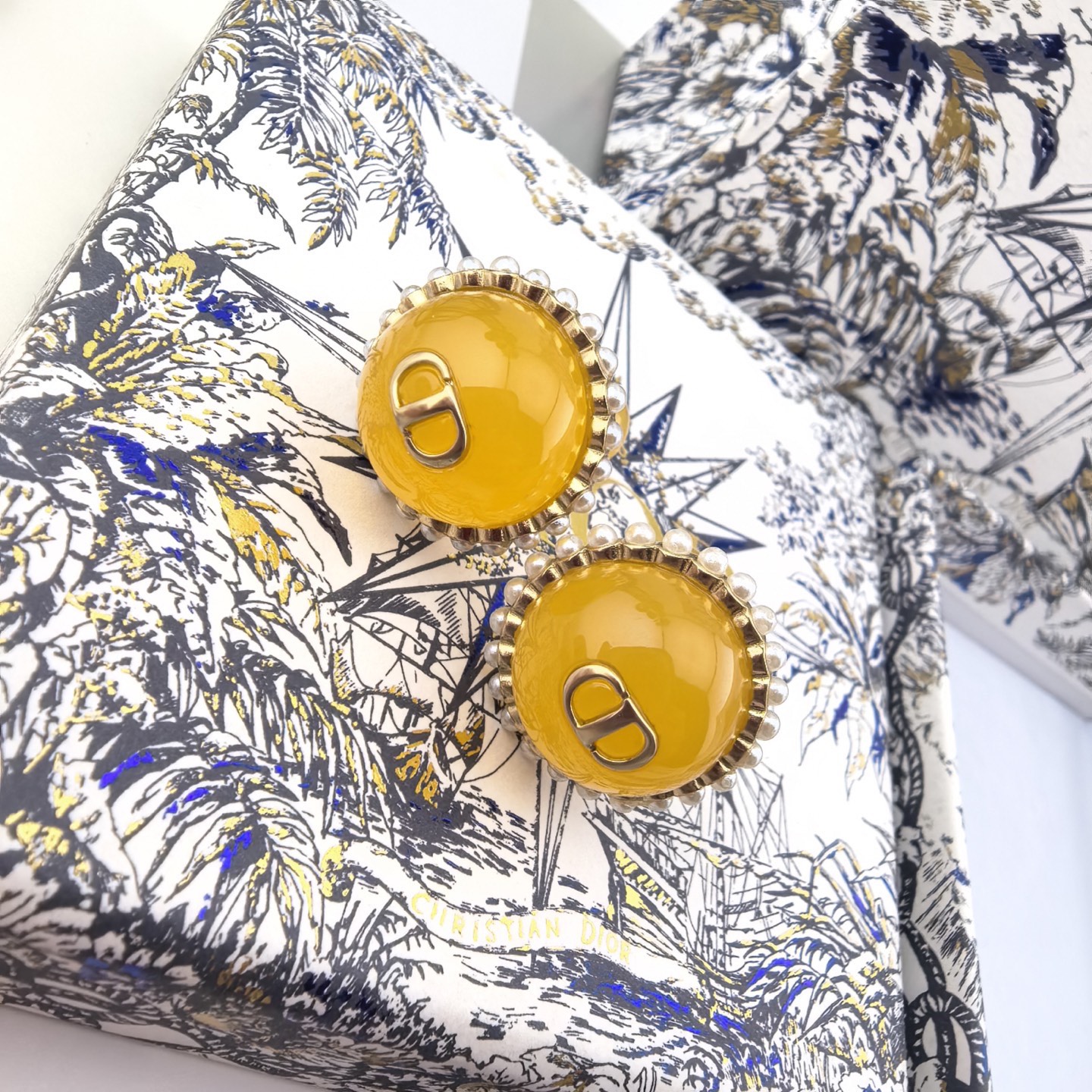 Dior Earring 04yxs300 (7)