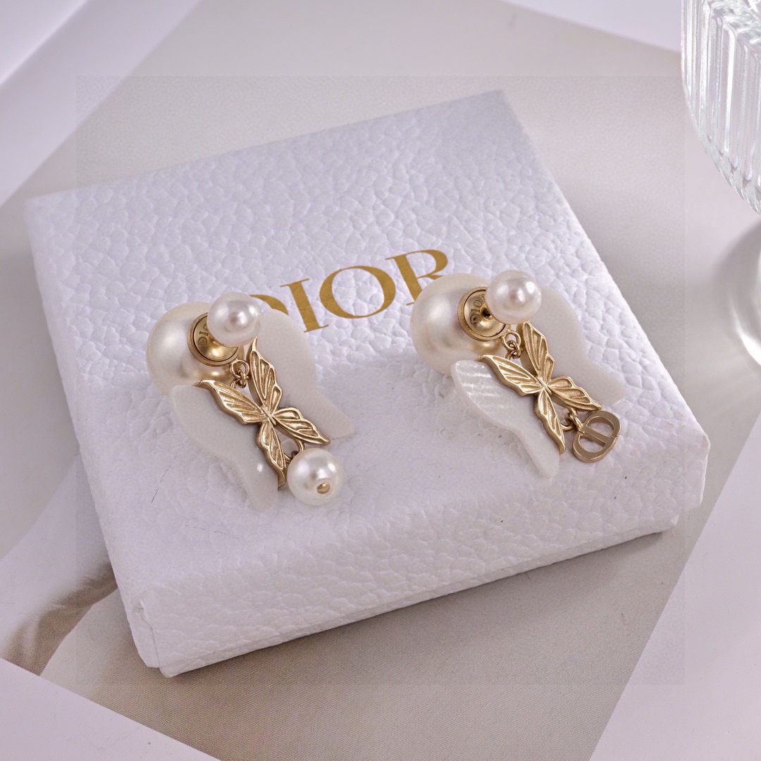 Dior Earring 04yxs301 (5)
