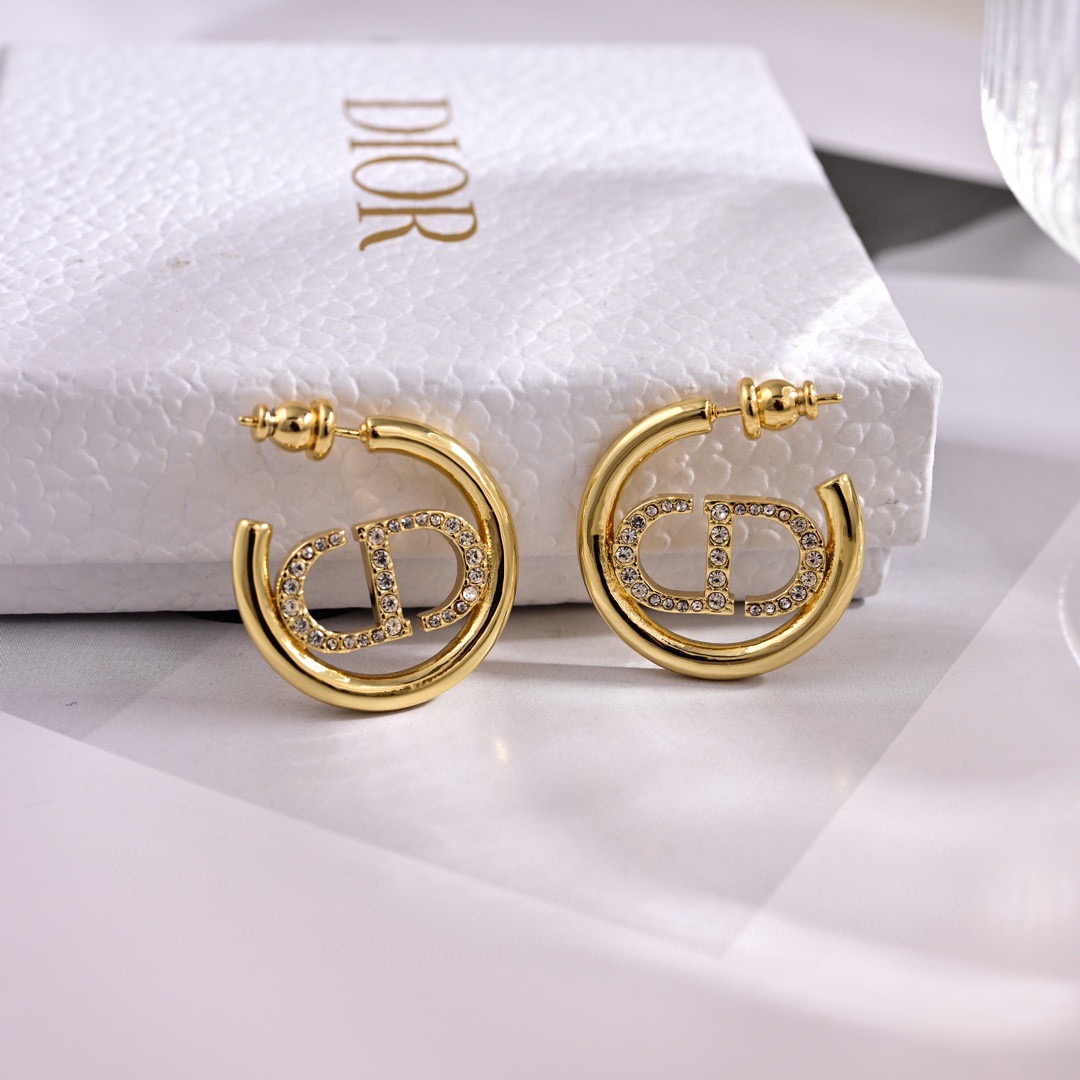 Dior Earring 04yxs305 (3)