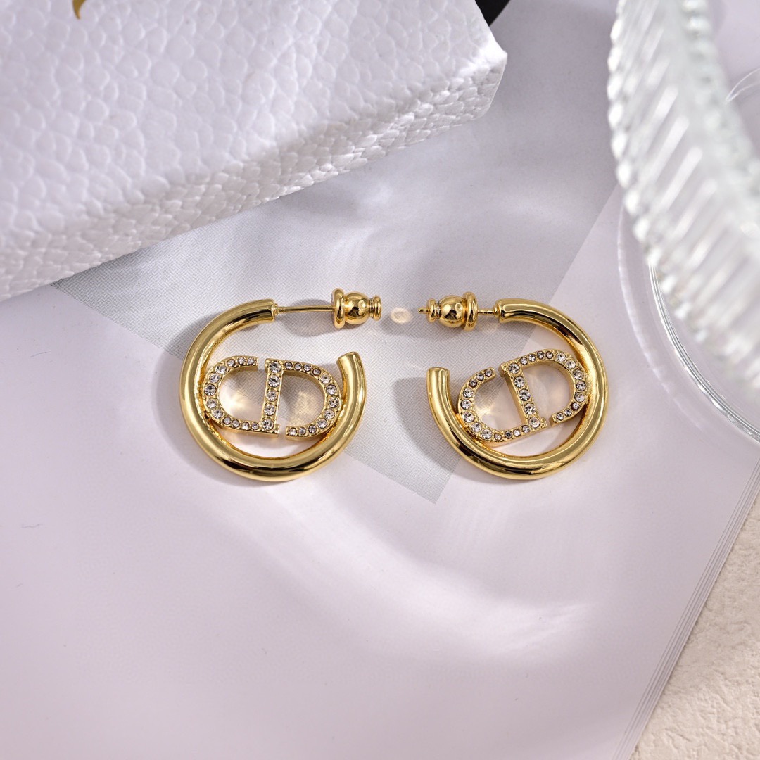 Dior Earring 04yxs305 (5)