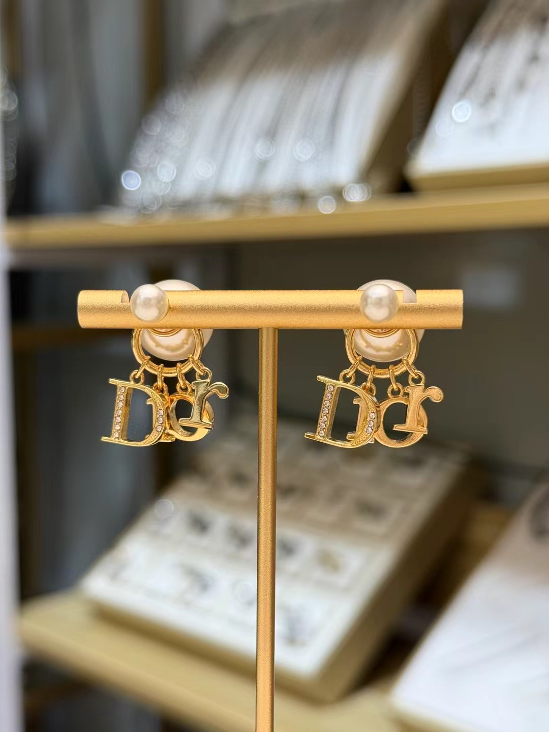 Dior Earring 04yxs306 (3)
