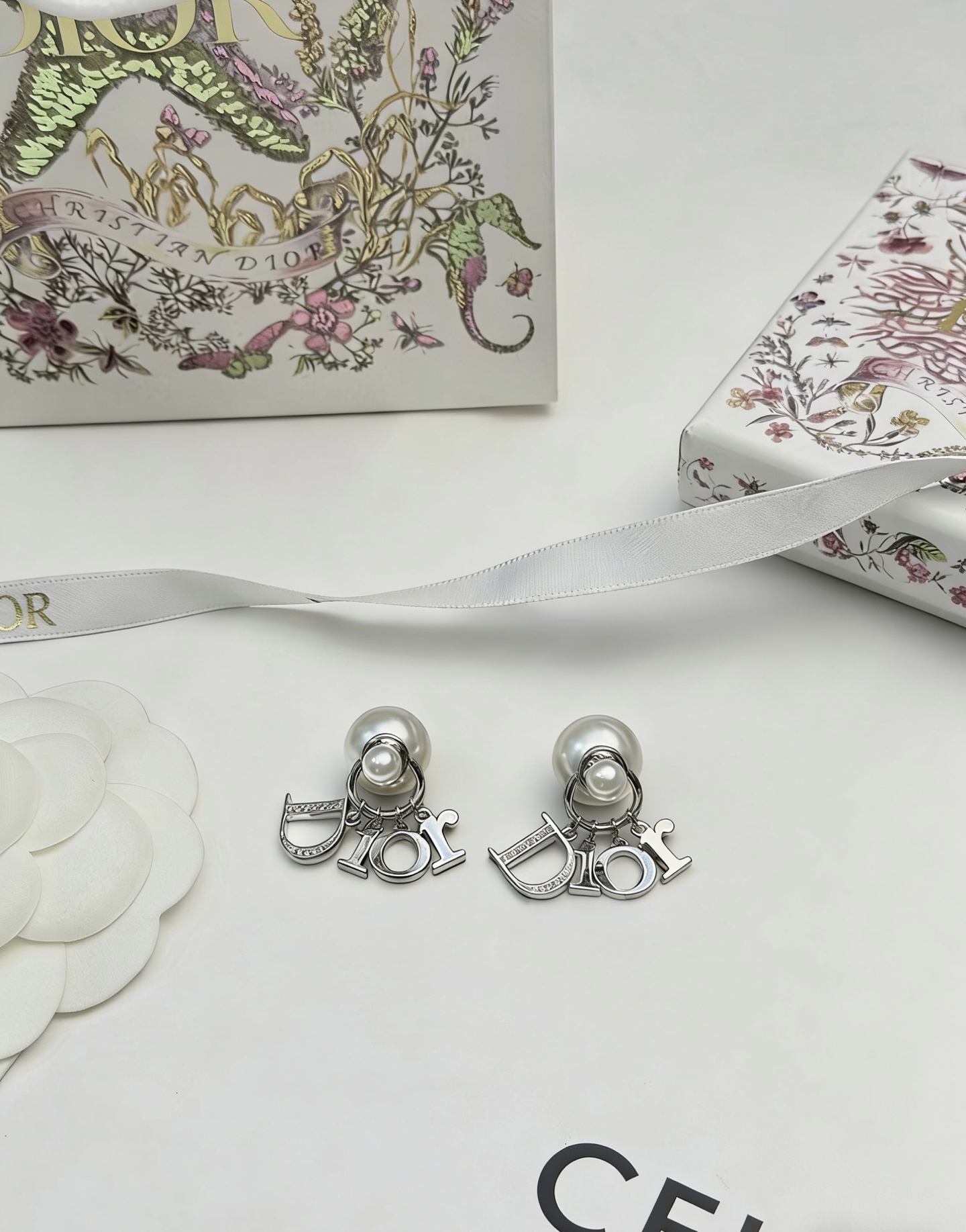 Dior Earring 04yxs307 (5)