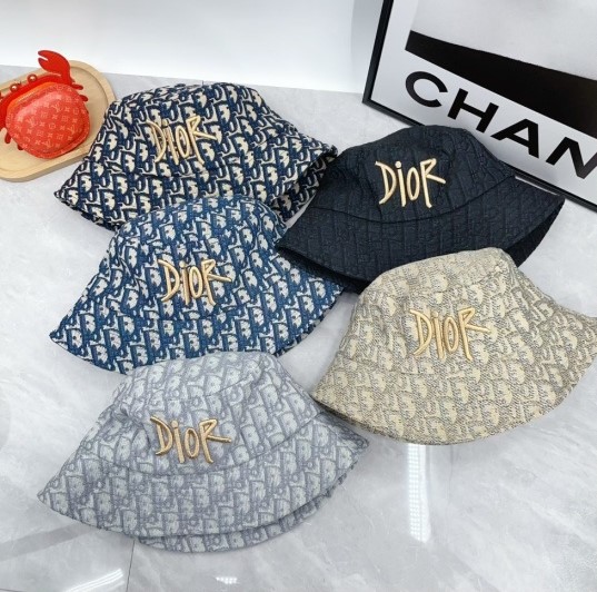 Dior Hat dx (2076)