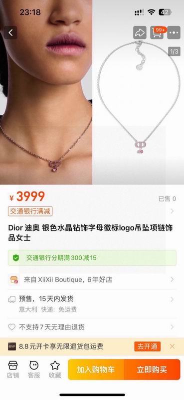 Dior Necklace 03yxs127 (2)