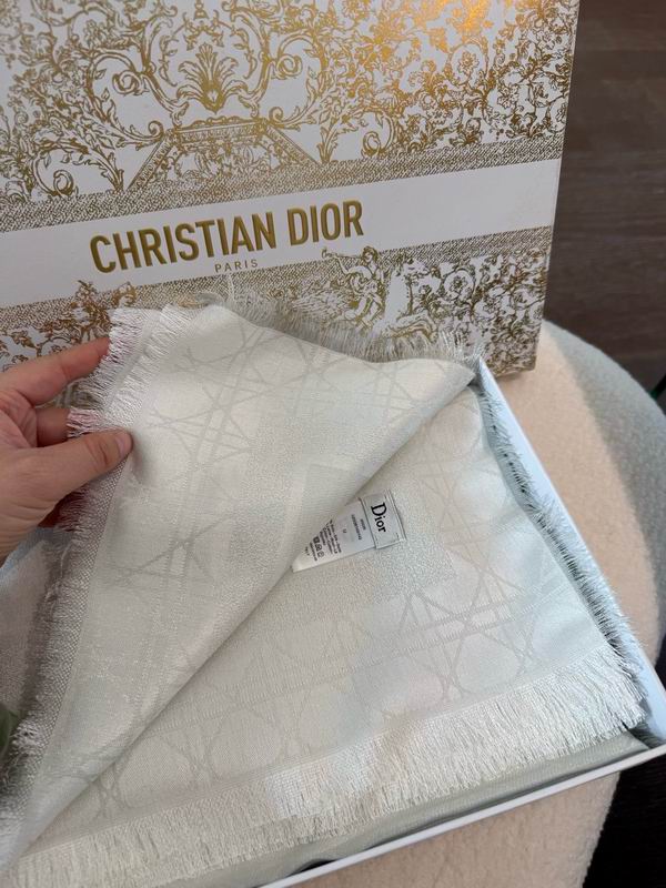 Dior Scarf 140X140cm E01 (6)