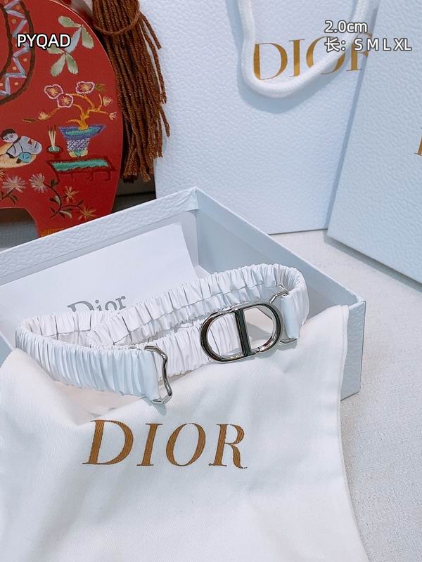 Dior belt 20mmS-XL 8L (6)