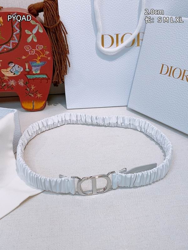 Dior belt 20mmS-XL 8L (7)