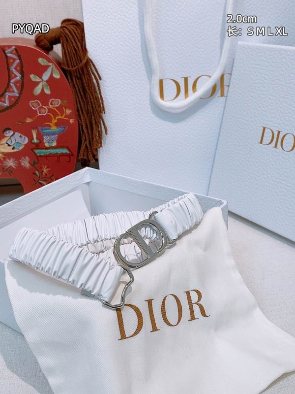 Dior belt 20mmS-XL 8L (8)