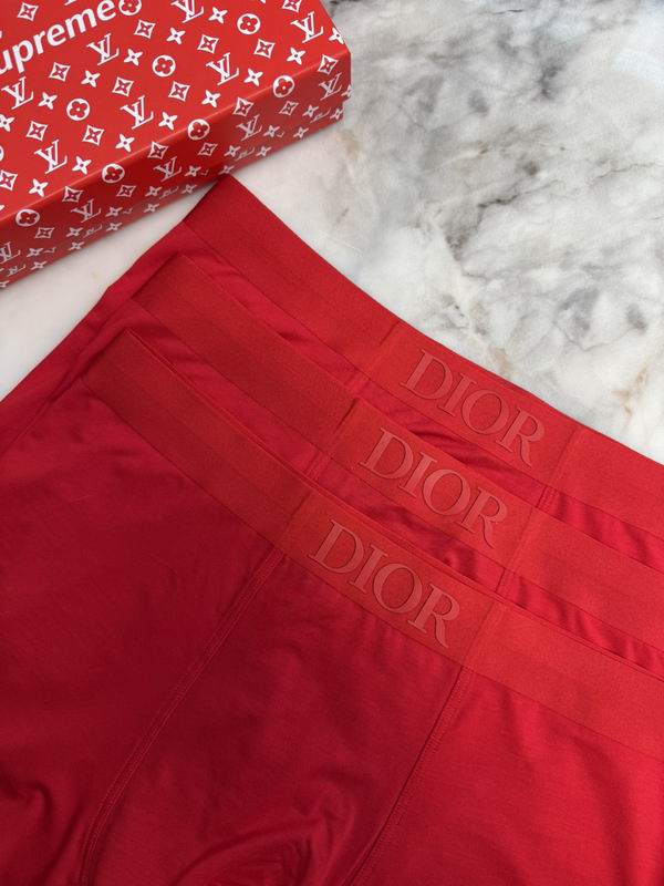 Dior boxer L-4XL 12 (1)