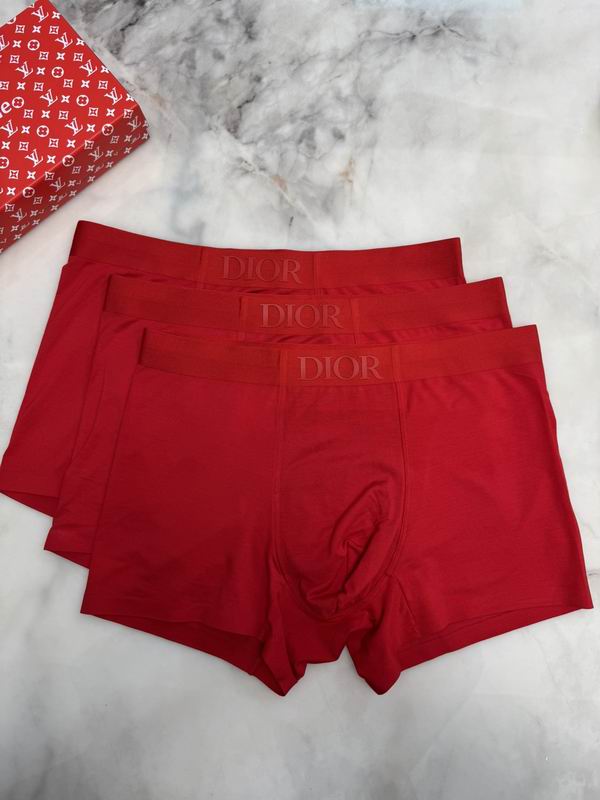 Dior boxer L-4XL 12 (5)