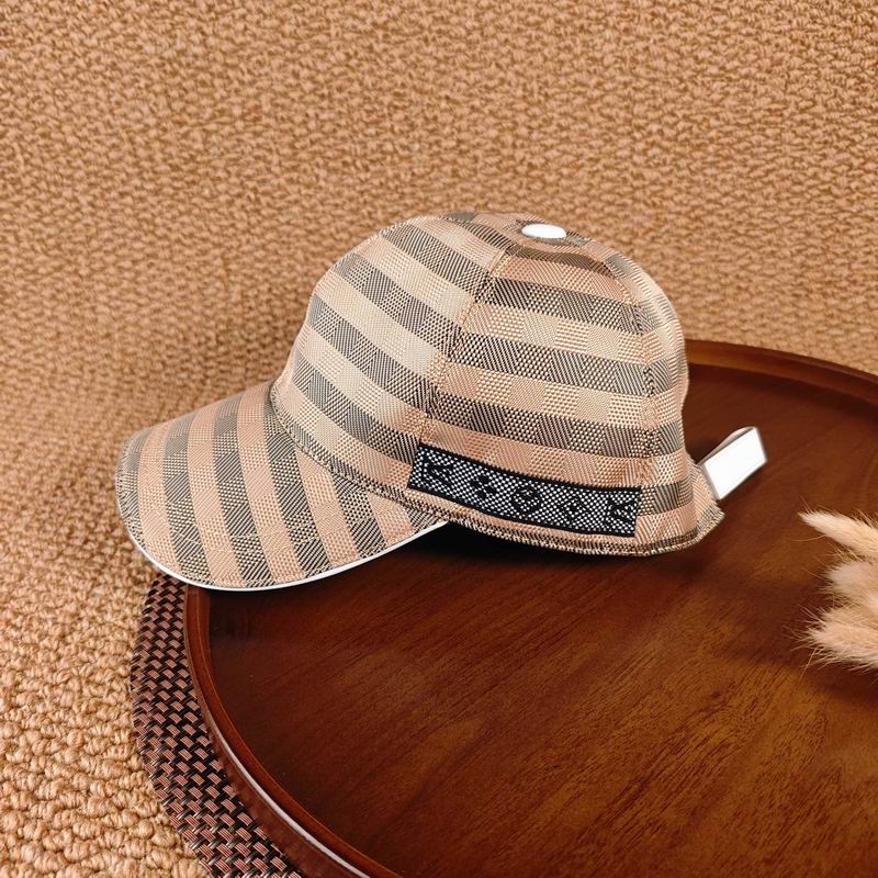 Fendi Cap（高版本）dx (301)