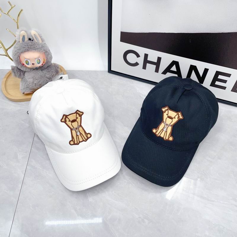 Fendi Cap（高版本）dx (403)