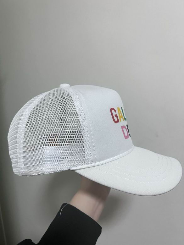 Gallery dept cap   (29)