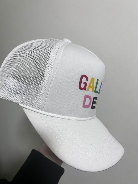Gallery dept cap   (30)