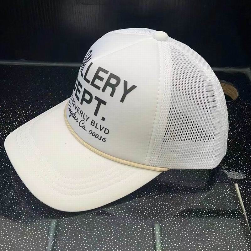 Gallery dept cap   (41)