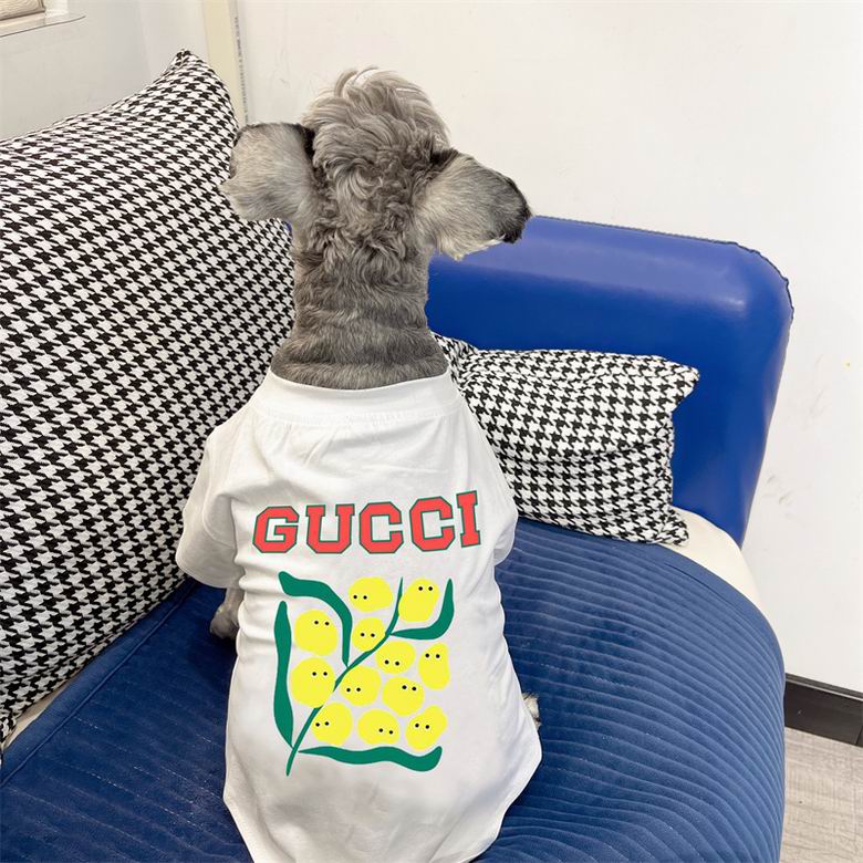 Gucci S-XXL   (6)