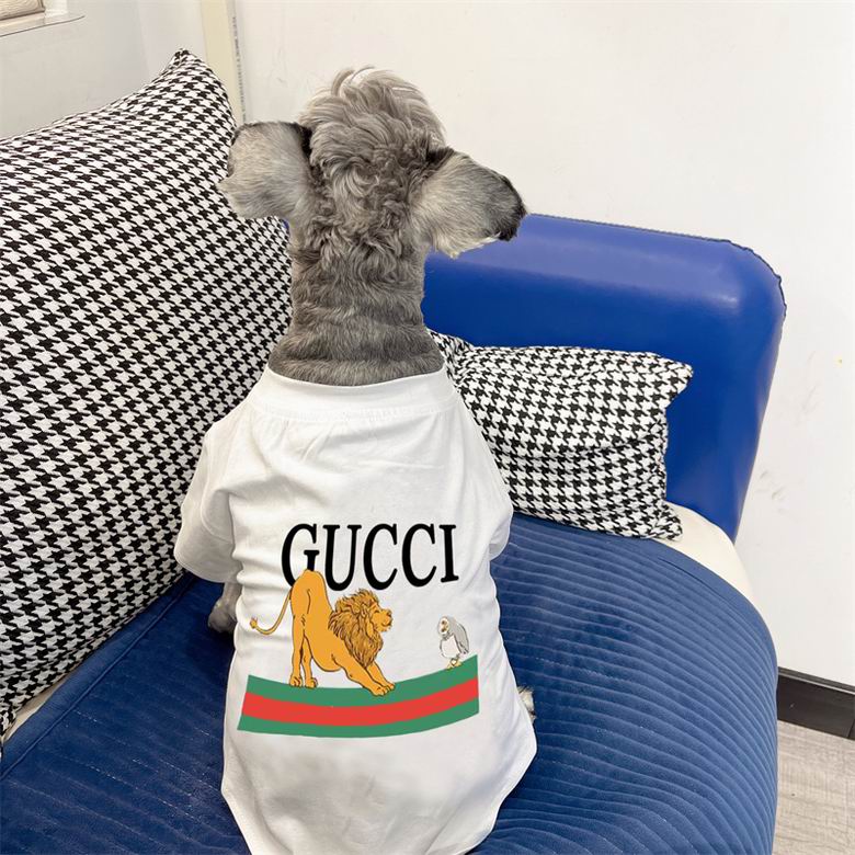 Gucci S-XXL   (7)