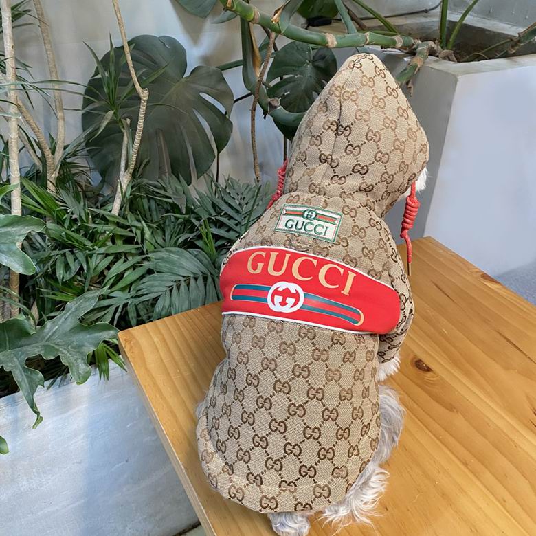 Gucci S-XXL   (9)