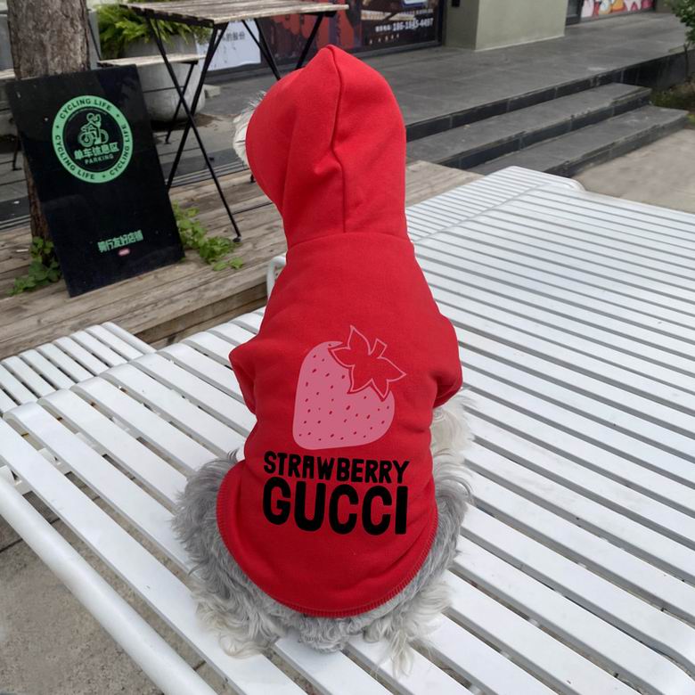 Gucci S-XXL   (9)