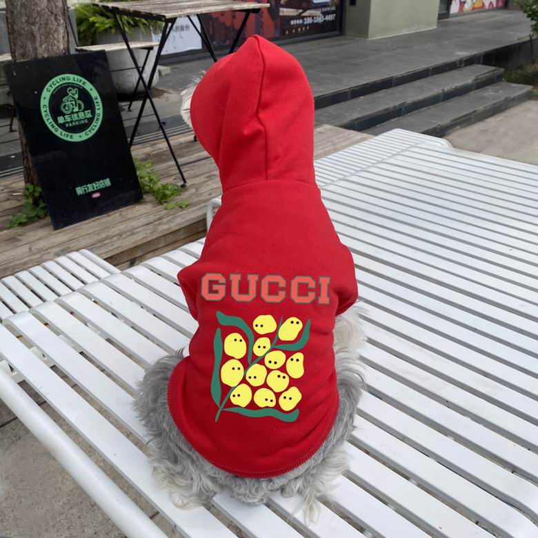 Gucci S-XXL   (9)