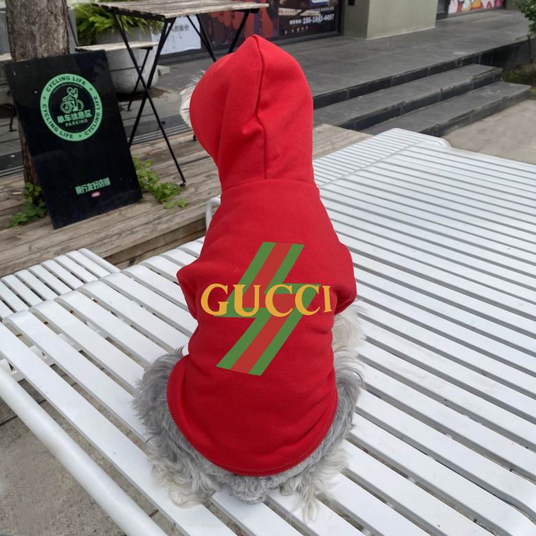 Gucci S-XXL   (9)